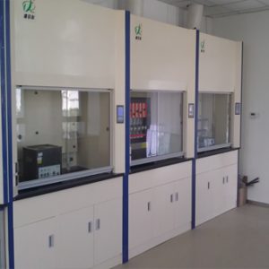 Digital Fume Hood GT240FD